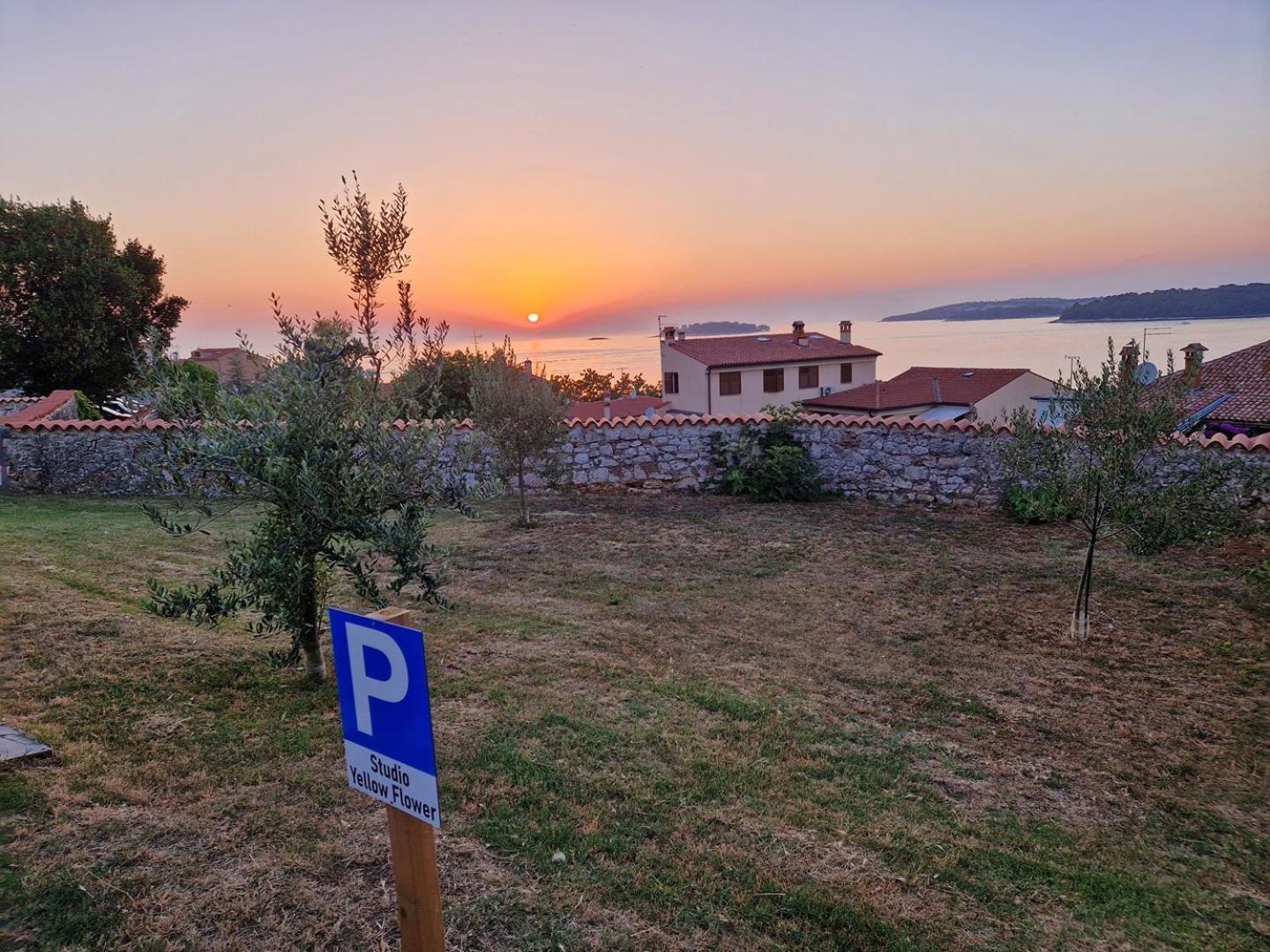 Studio Yellow Flower Rovinj Bagian luar foto